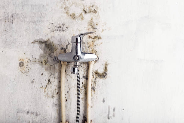 Best Home Mold Removal  in New Hope, OR