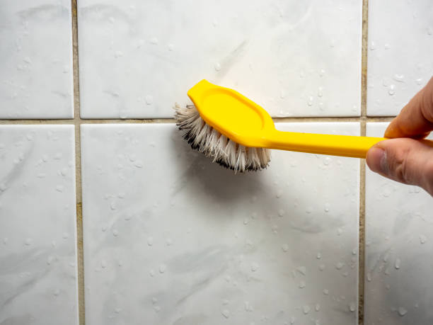Mold Testing and Removal in New Hope, OR