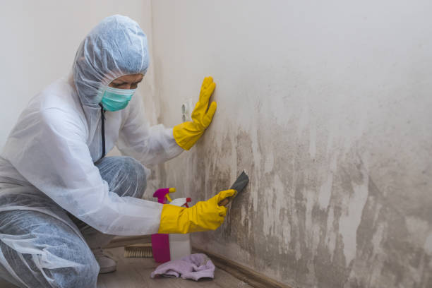 Best Crawl Space Mold Removal  in New Hope, OR
