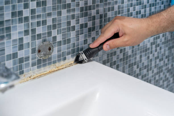 Best Residential Mold Removal  in New Hope, OR